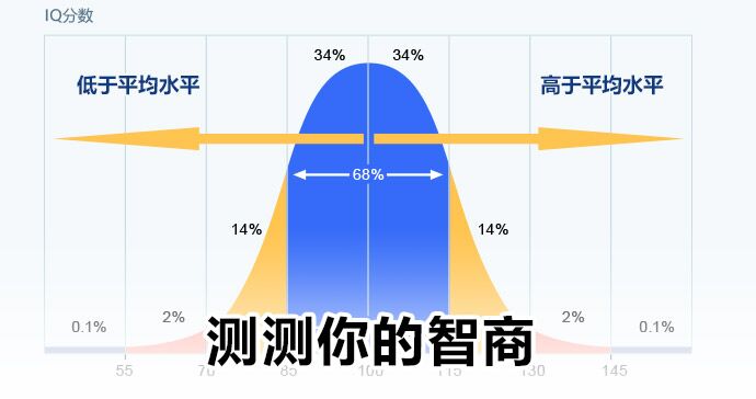 智商国际专业测试