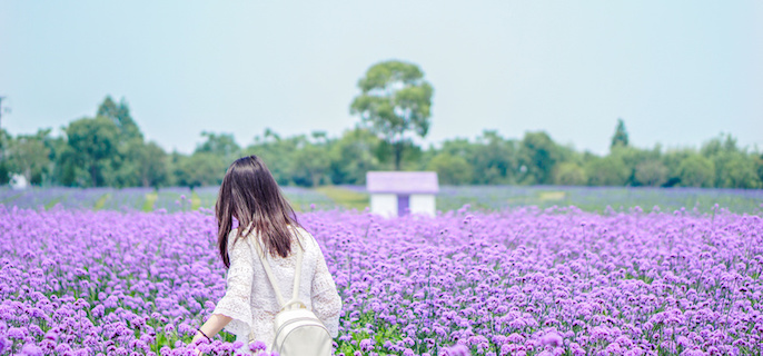 解码INFJ的情感密码：看透他们的动心瞬间