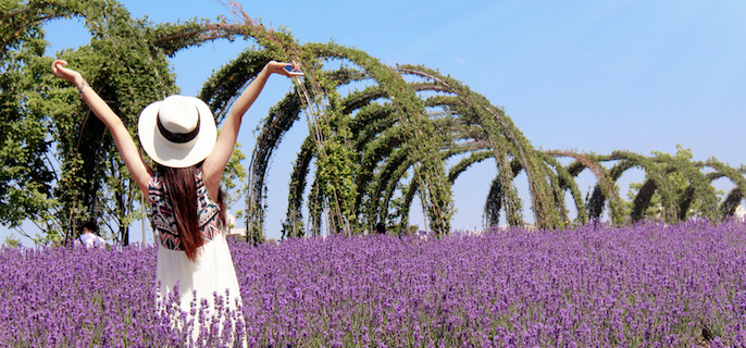 避开婚姻和育儿：INFP女性眼里的家庭修罗场